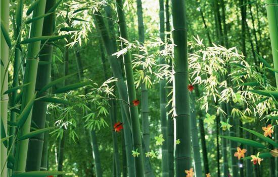 大自然沁人心脾的新鮮空氣，在家也能呼吸到