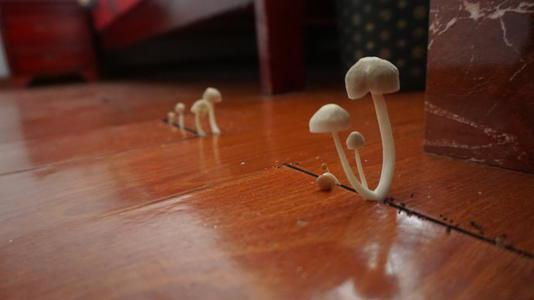 潮濕的地下室對(duì)人體有哪些危害？